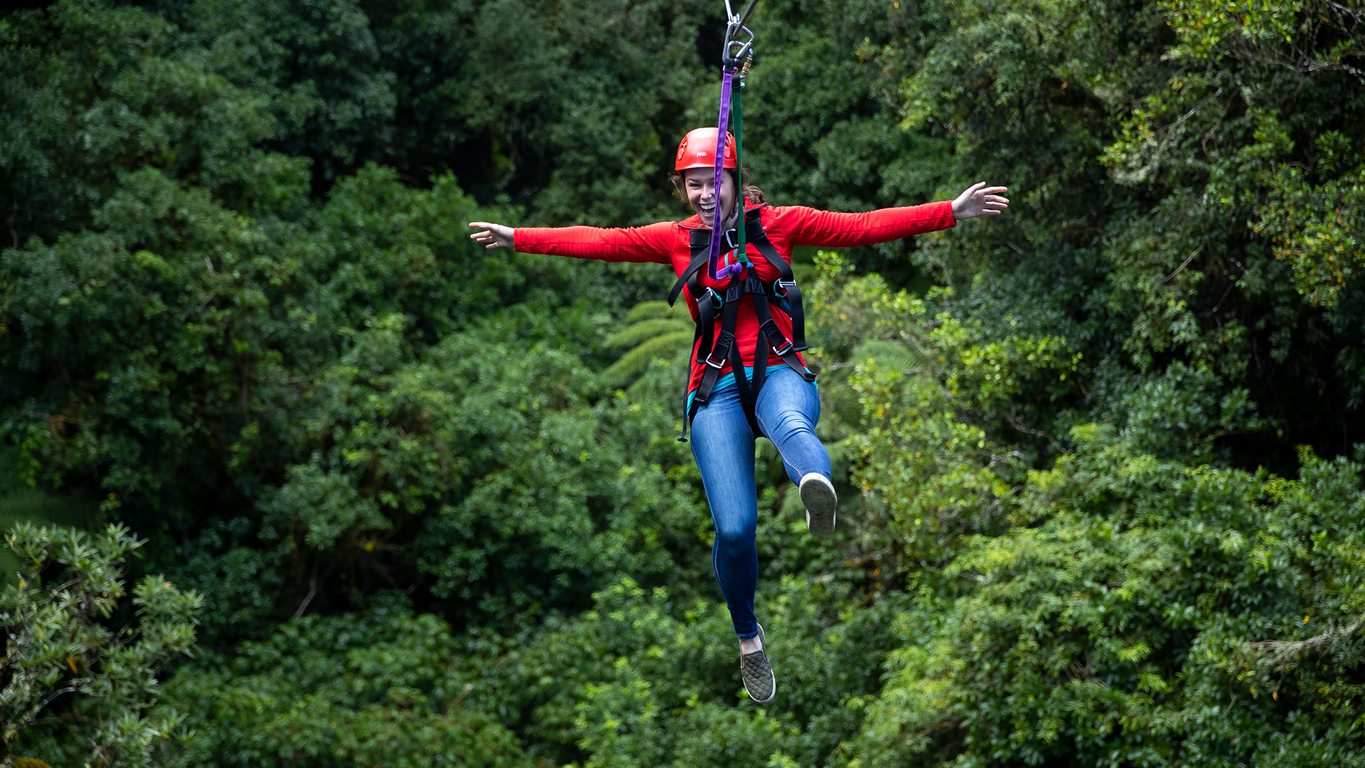 Original Canopy Tour Rotorua NZ